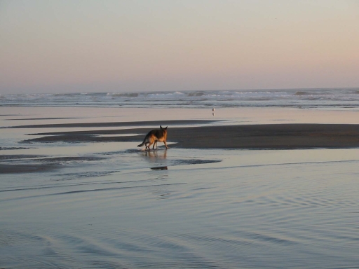 Click for original image